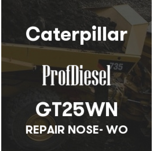 GT25WN
