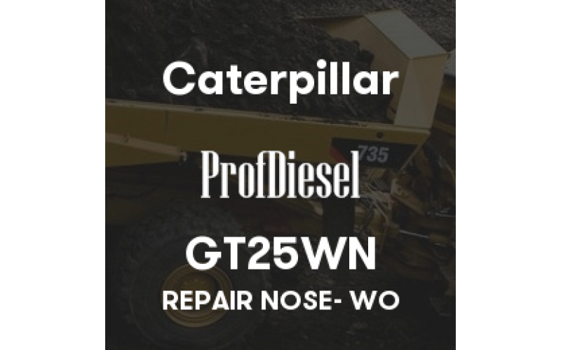 GT25WN