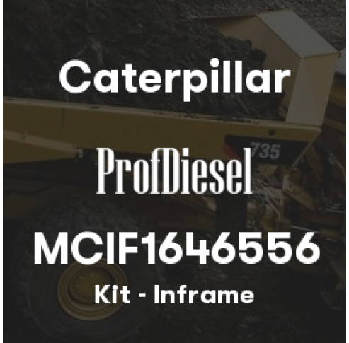 MCIF1646556