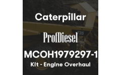 MCOH1979297-1