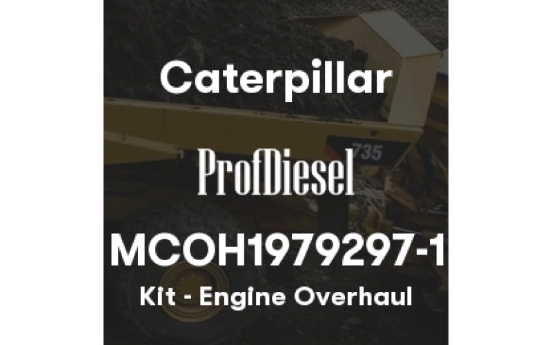 MCOH1979297-1