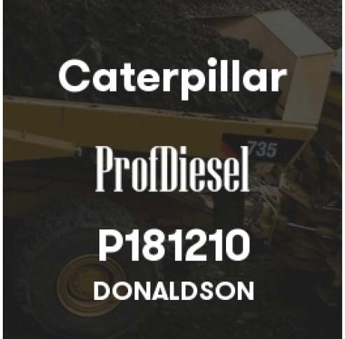 P181210