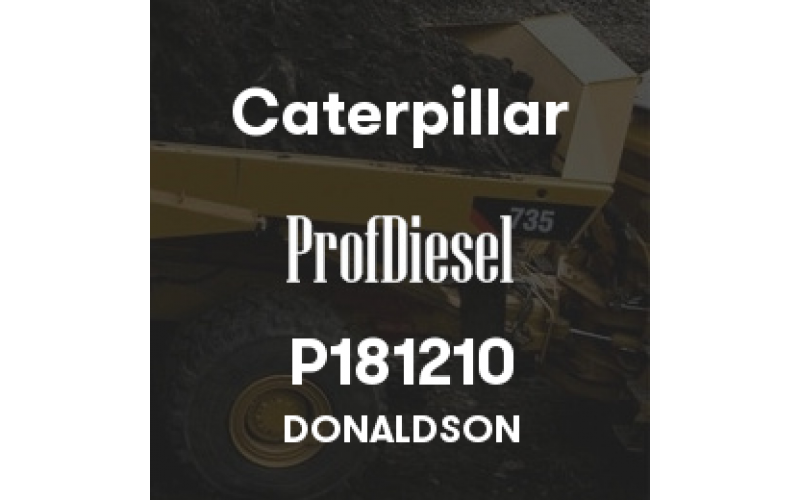 P181210