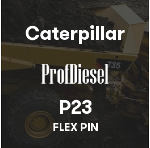 P23