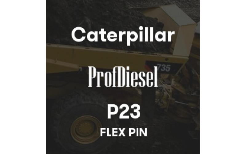 P23