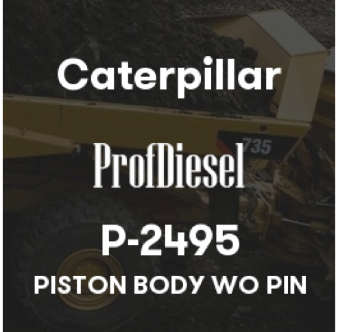 P-2495