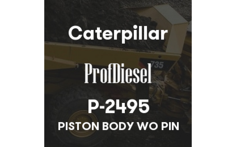 P-2495