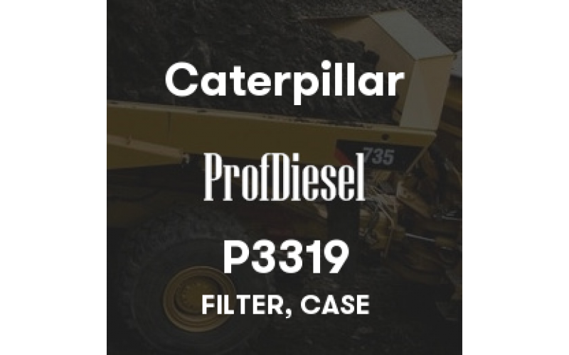 P3319