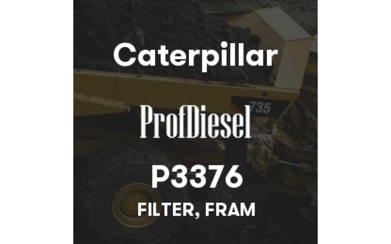 P3376