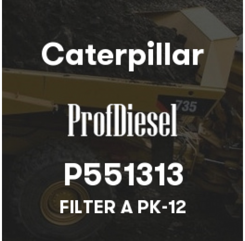 P551313