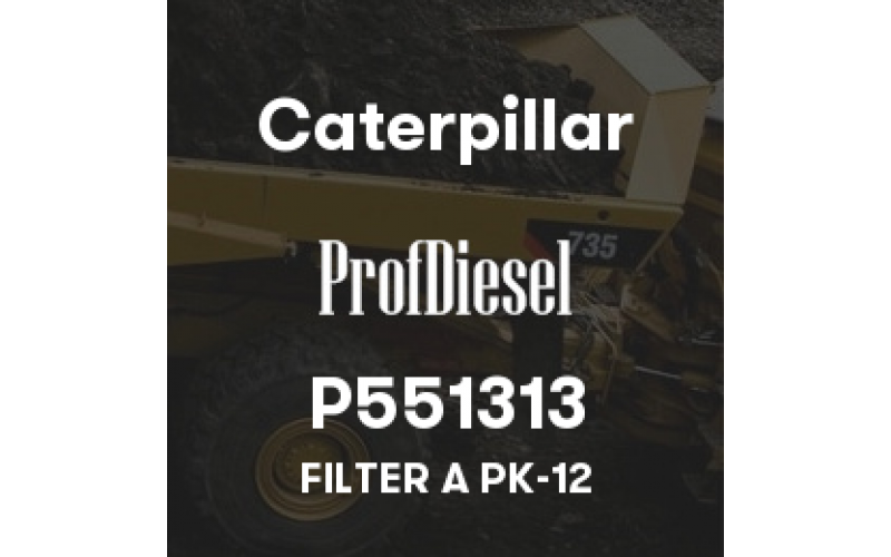 P551313