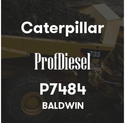 P7484