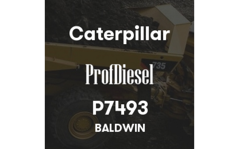 P7493
