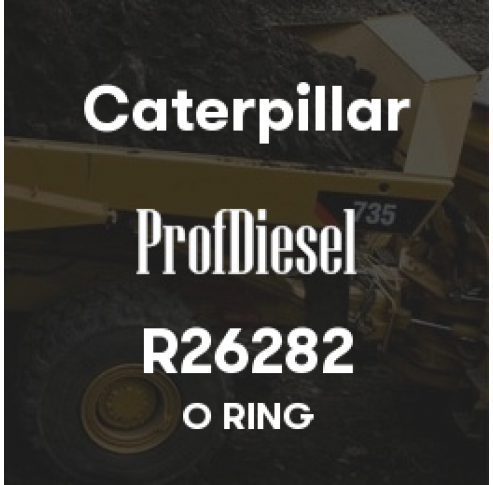 R26282