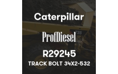 R29245