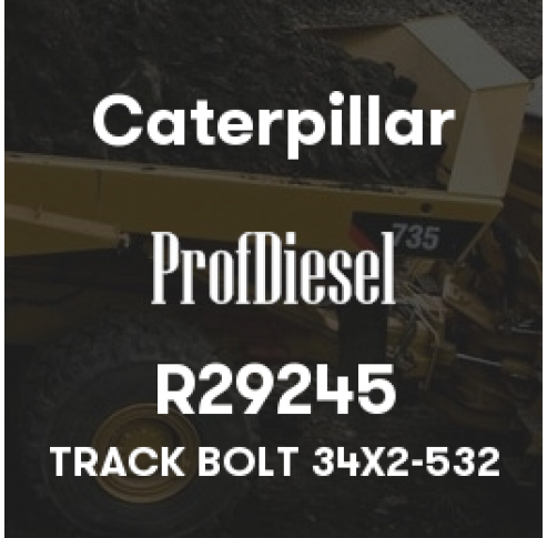 R29245