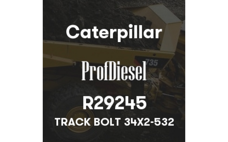R29245
