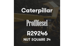 R29246 R29246