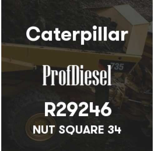 R29246