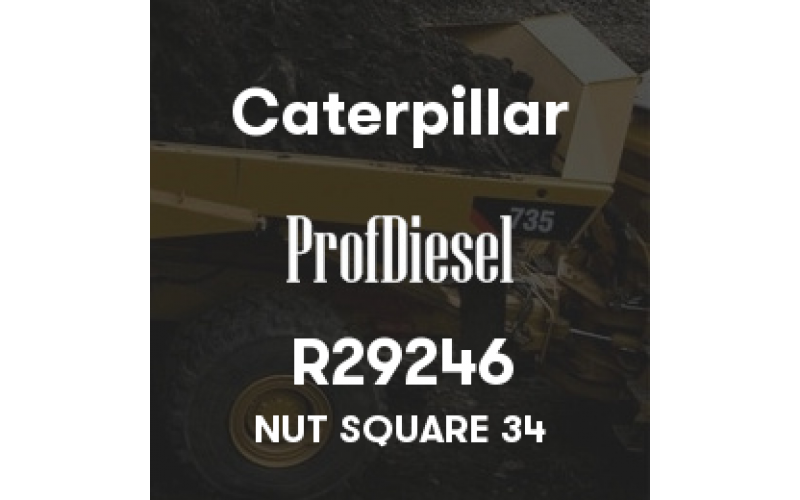 R29246