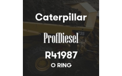 R41987