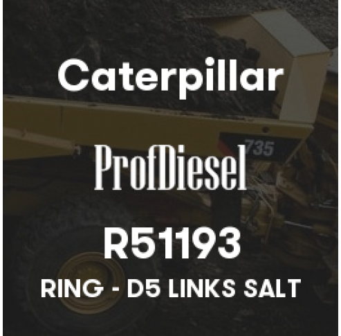 R51193