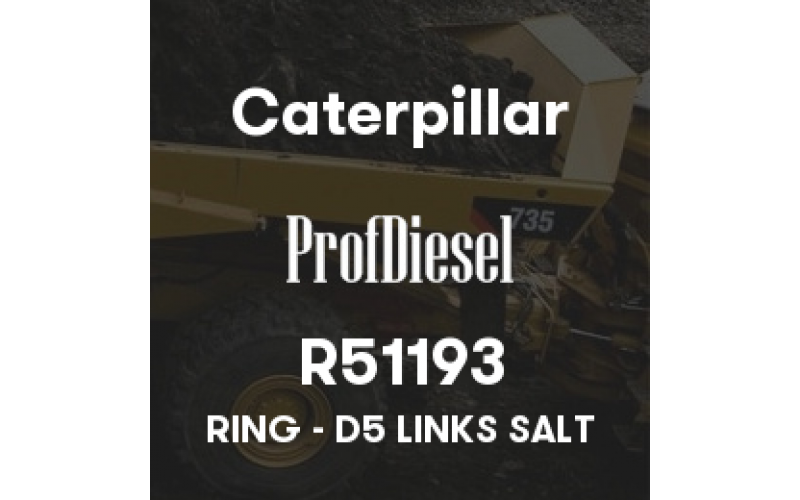 R51193