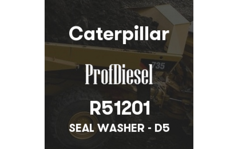 R51201