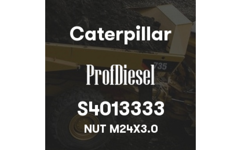 S4013333