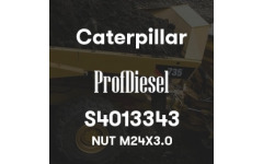 S4013343