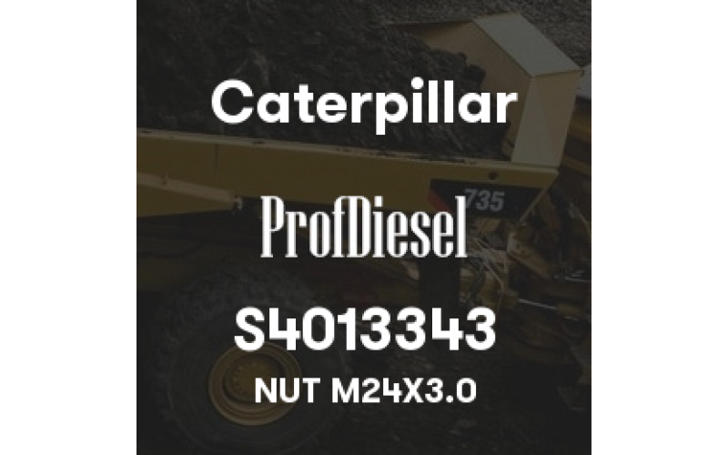 S4013343