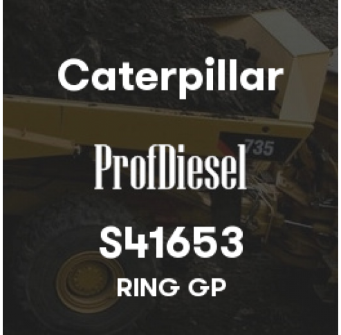 S41653
