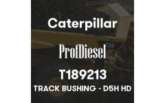T189213