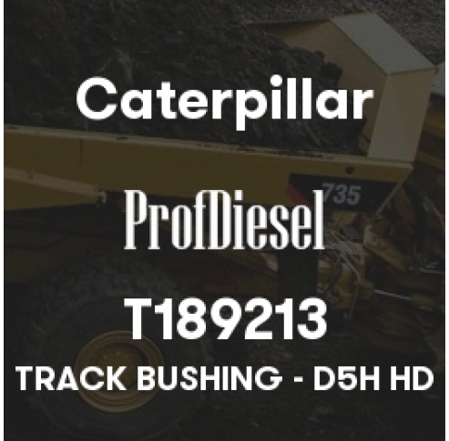 T189213