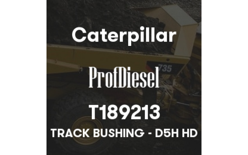 T189213