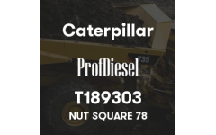 T189303