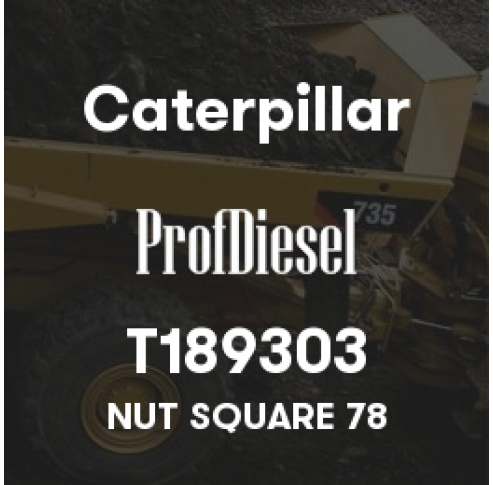 T189303