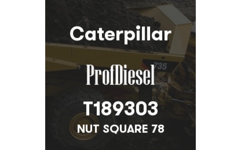 T189303