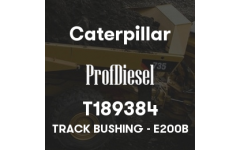 T189384