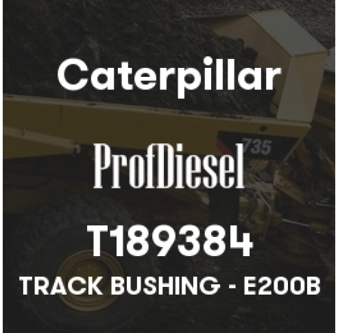 T189384
