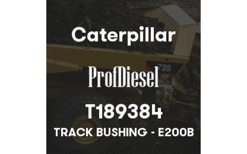 T189384