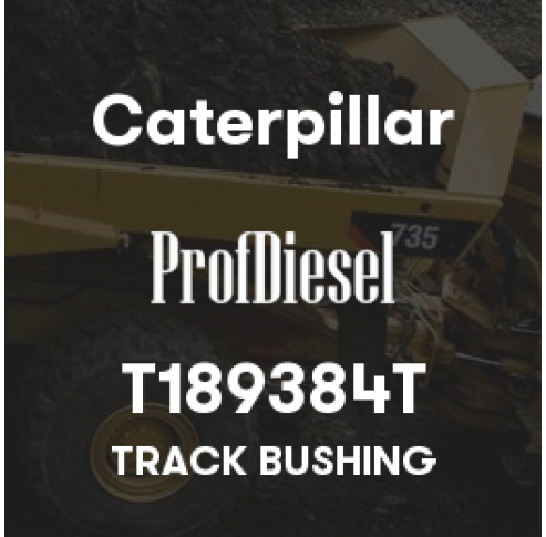 T189384T