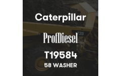 T19584