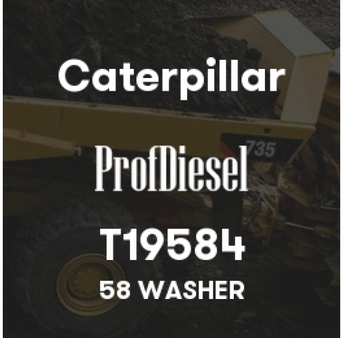 T19584