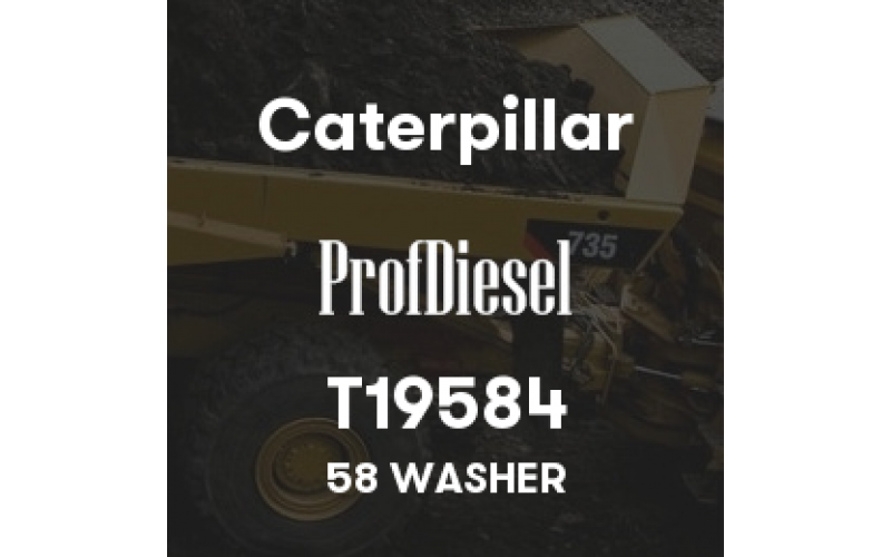 T19584