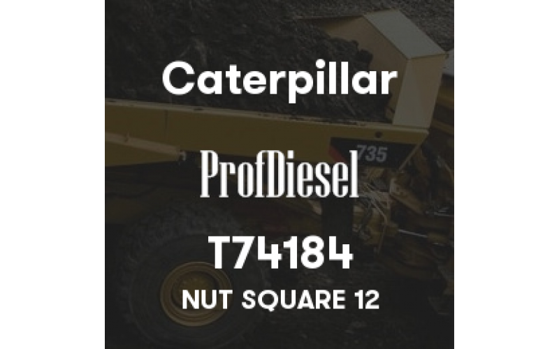 T74184