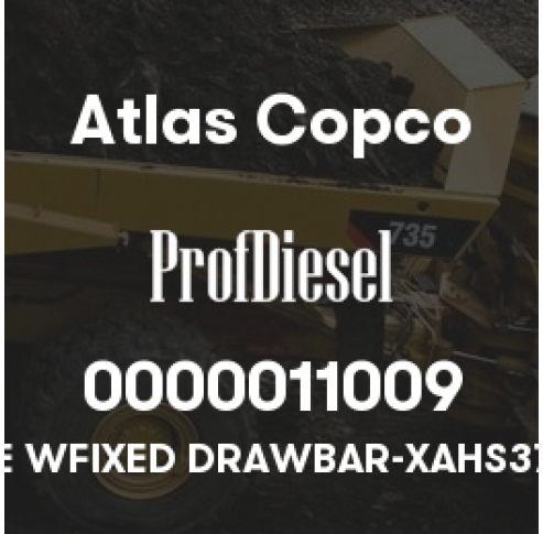 0000011009