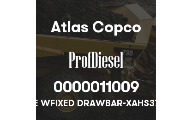 0000011009