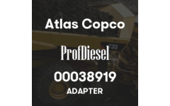 00038919