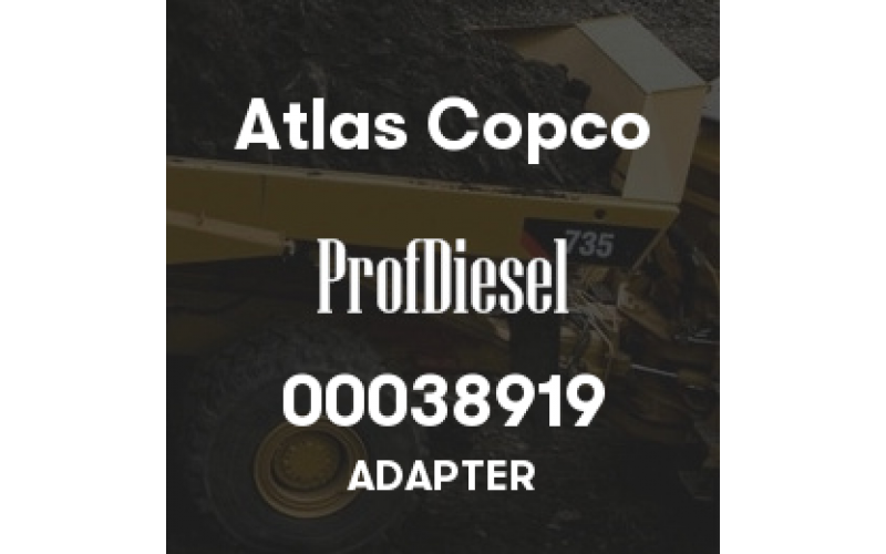 00038919